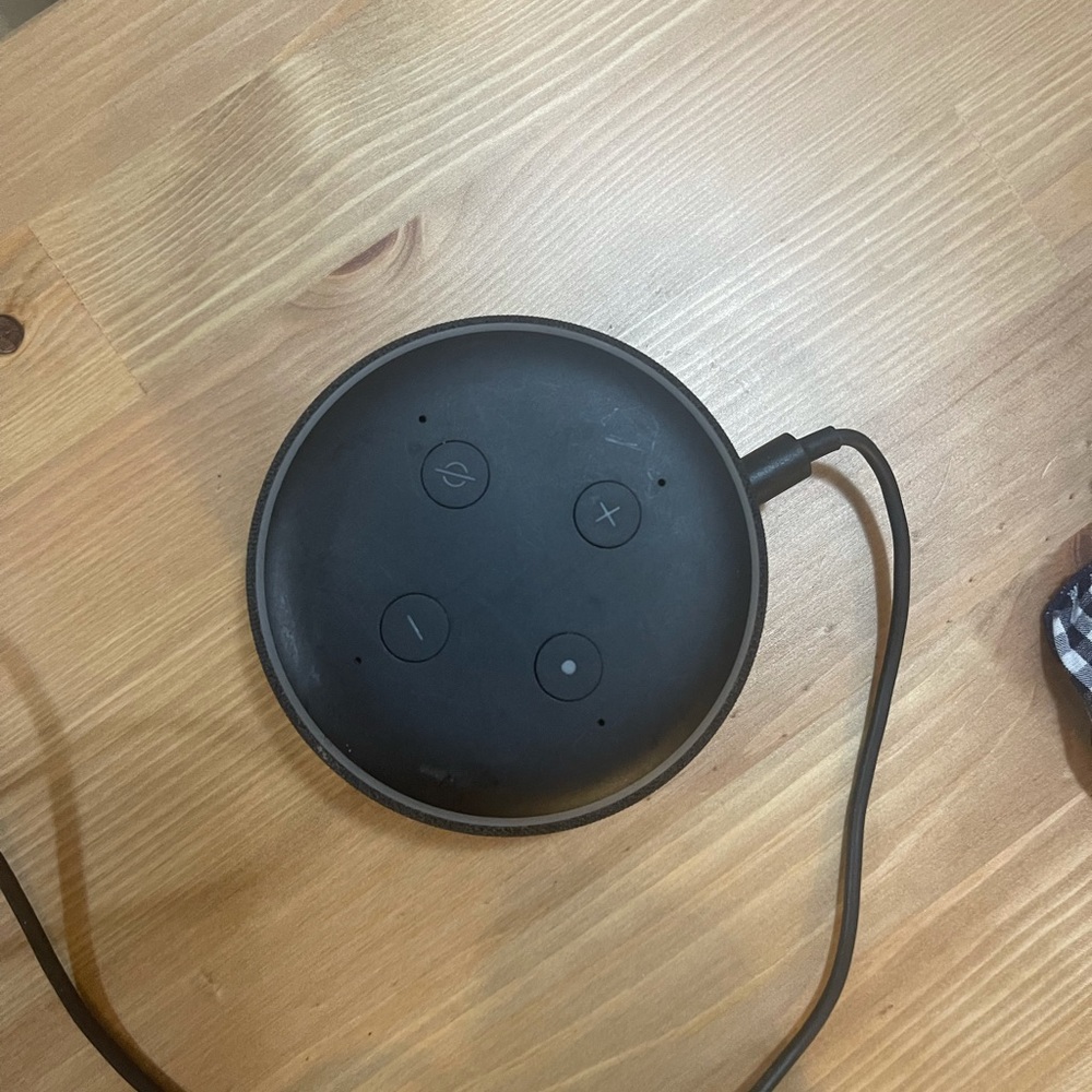 Alexa - Picture 2 of 4